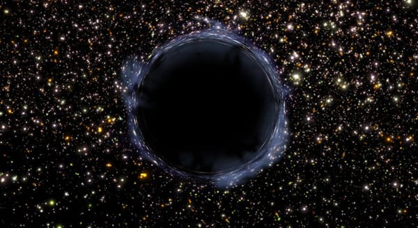 Primordial Black Hole